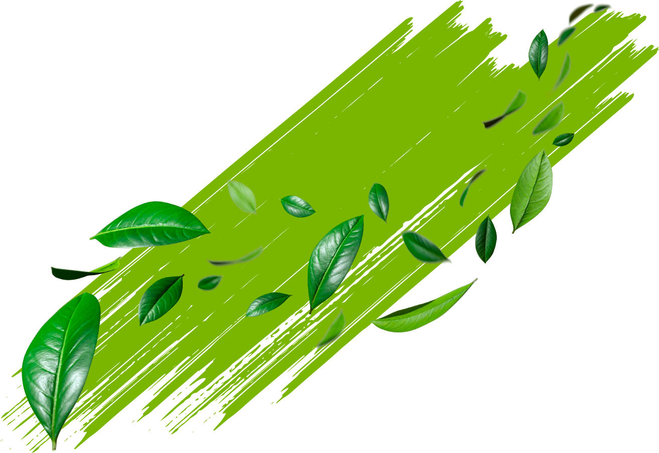 revslider_shape-2
